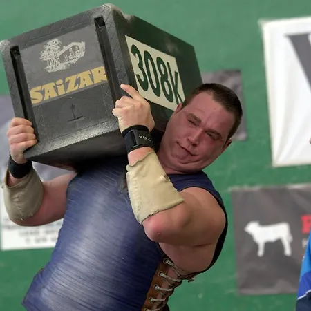 ホームステイ Basque Palace, Mansion Con Jardin, Barbacoa, Gimnasio, Piscina, Sauna *