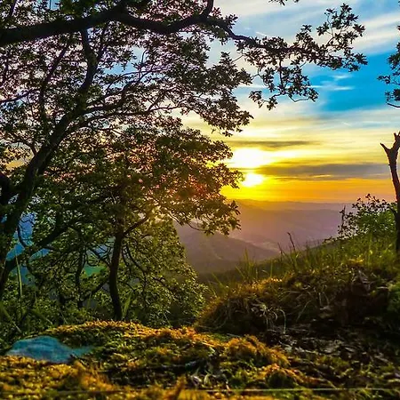 Basque Palace, Mansion Con Jardin, Barbacoa, Gimnasio, Piscina, Sauna *