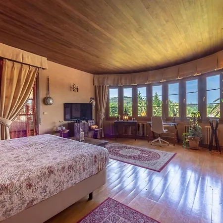 Habitación en casa particular Basque Palace, Mansion Con Jardín, Barbacoa, Gimnasio, Piscina, Sauna